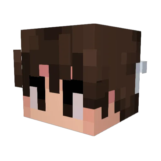 teachu Minecraft avatar head, 3D render