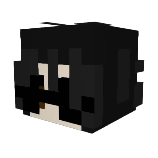 teaenjoyerr Minecraft avatar head, 3D render
