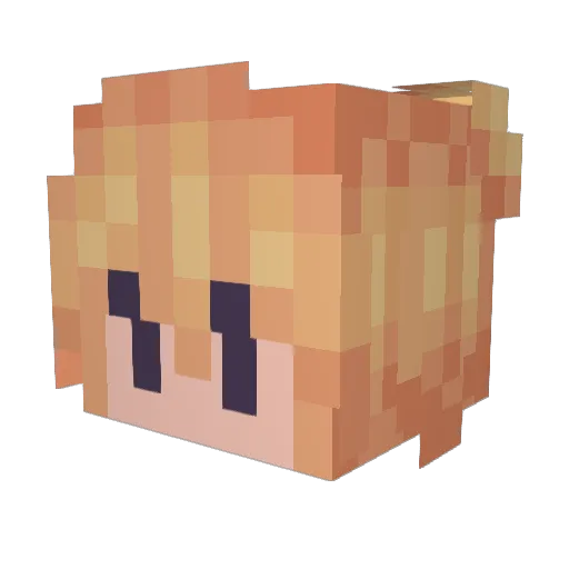 teaformiles Minecraft avatar head, 3D render