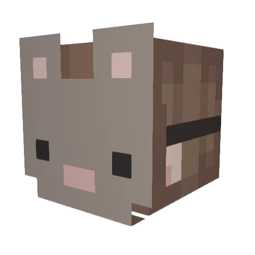 teagannnn Minecraft avatar head, 3D render