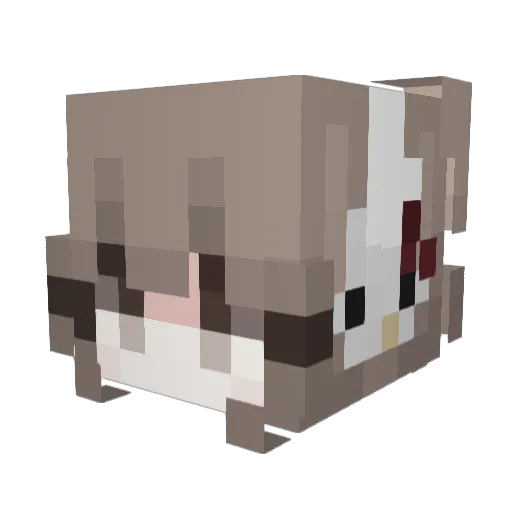teagxn1 Minecraft avatar head, 3D render