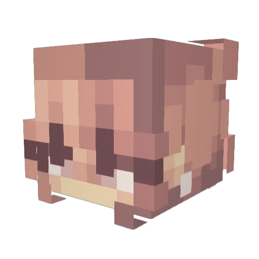 teaixx Minecraft avatar head, 3D render