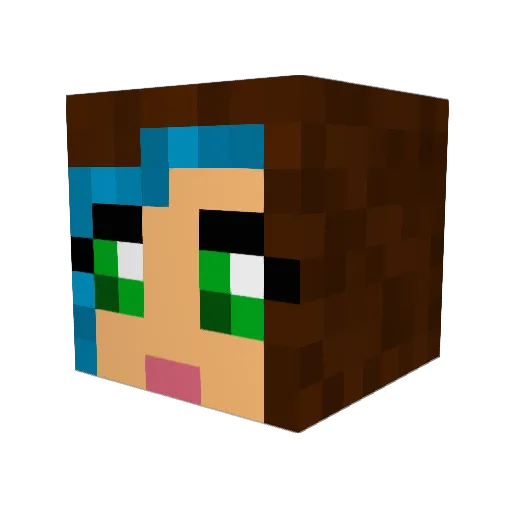 teal_cat Minecraft avatar head, 3D render