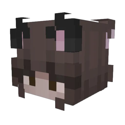 tealover1 Minecraft avatar head, 3D render