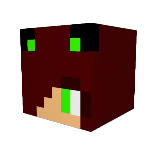 team_panthers Minecraft avatar head, 3D render