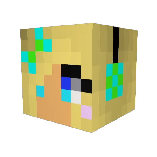 teammeat Minecraft avatar head, 3D render