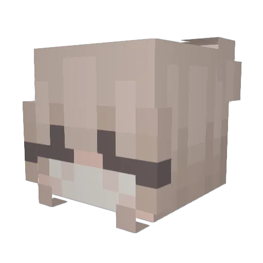 teamoceleste Minecraft avatar head, 3D render