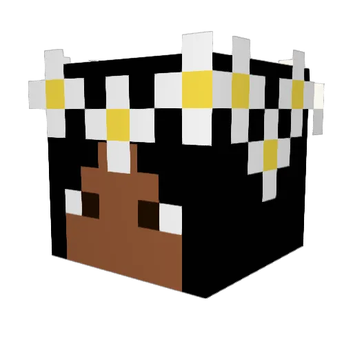 teamspeaker1738 Minecraft avatar head, 3D render