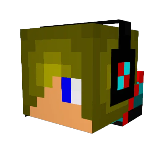 teamtimewarp Minecraft avatar head, 3D render