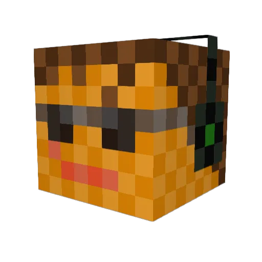 teamtroyster Minecraft avatar head, 3D render
