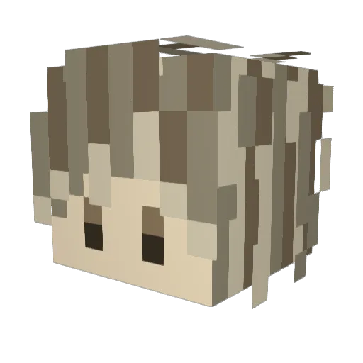 teapoppo Minecraft avatar head, 3D render