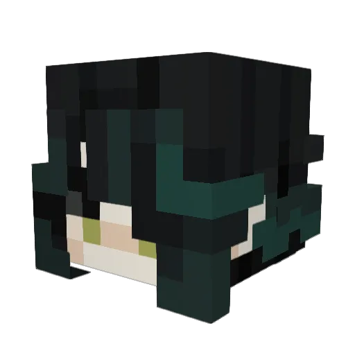 teardrinkers Minecraft avatar head, 3D render