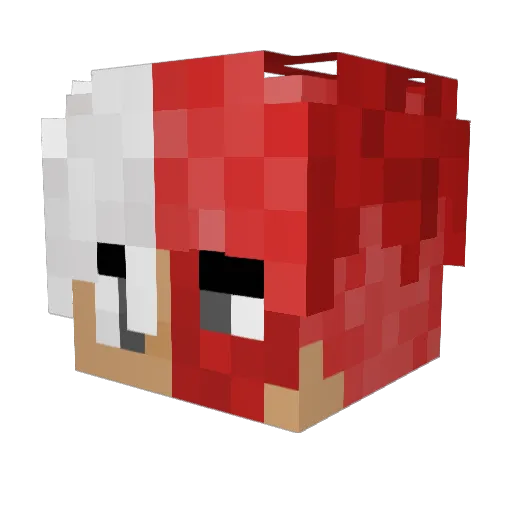 teardrxp Minecraft avatar head, 3D render