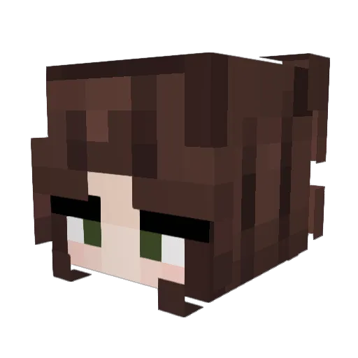 teargasm Minecraft avatar head, 3D render