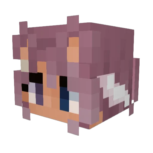 tears_oftea Minecraft avatar head, 3D render