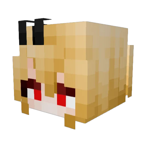 tearsofm0ney Minecraft avatar head, 3D render