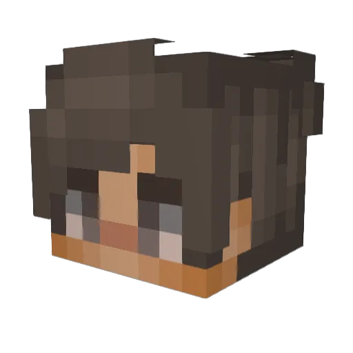 tearstrips Minecraft avatar head, 3D render