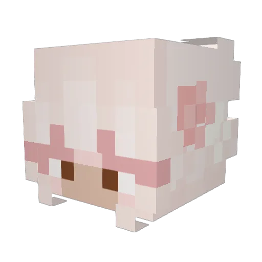 teashelcat Minecraft avatar head, 3D render