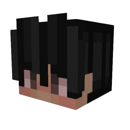 teashibe Minecraft avatar head, 3D render