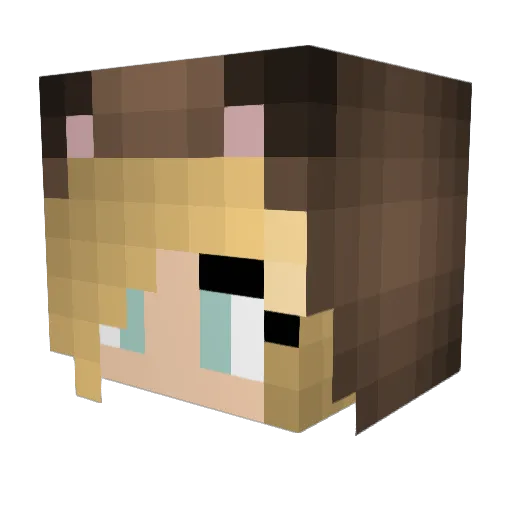 teasoups Minecraft avatar head, 3D render