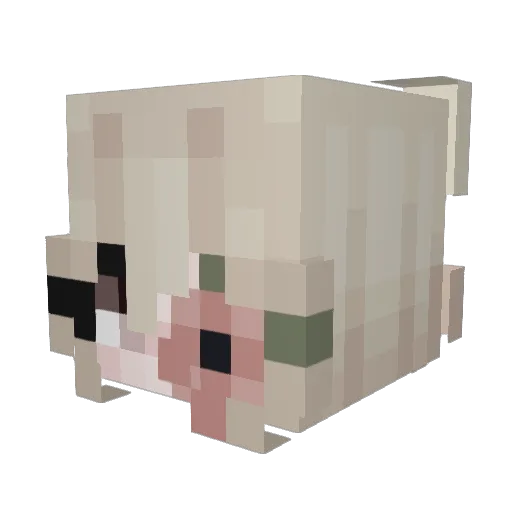 teato Minecraft avatar head, 3D render