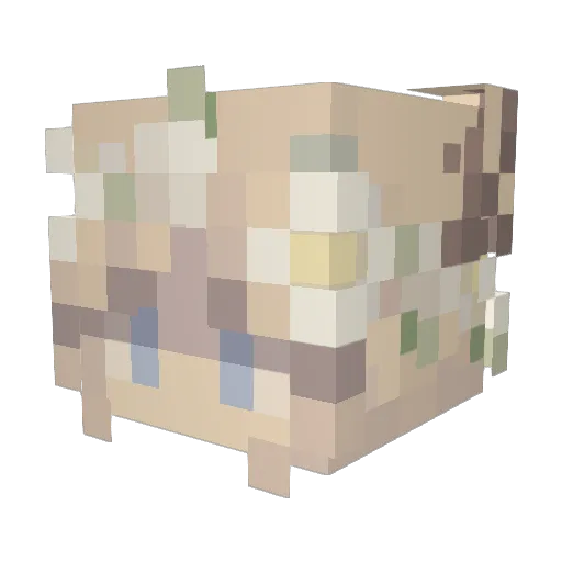 teaushii Minecraft avatar head, 3D render