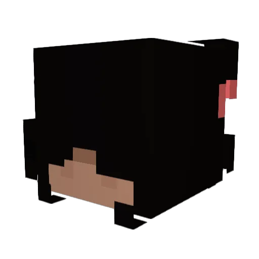 teawnah Minecraft avatar head, 3D render
