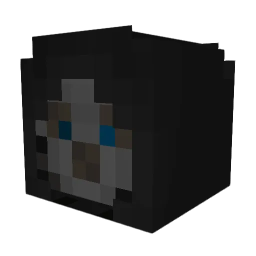 techarmour123 Minecraft avatar head, 3D render