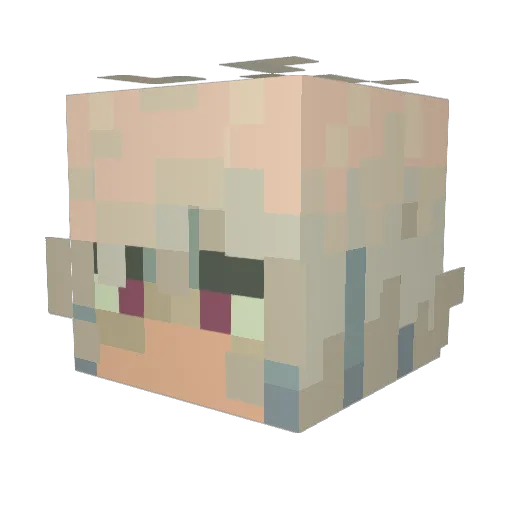 techhop Minecraft avatar head, 3D render