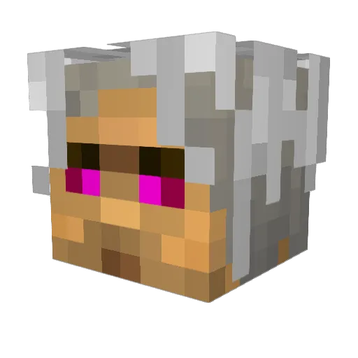 techjunkie6 Minecraft avatar head, 3D render