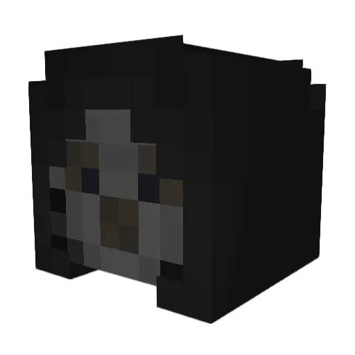 techn0m4n Minecraft avatar head, 3D render