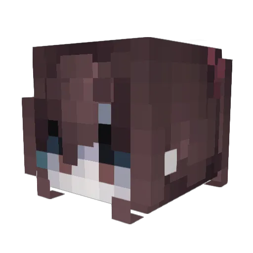 technoanimism Minecraft avatar head, 3D render
