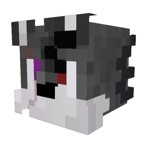 technoblade6624 Minecraft avatar head, 3D render