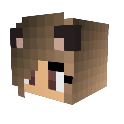 technoblade67mc Minecraft avatar head, 3D render