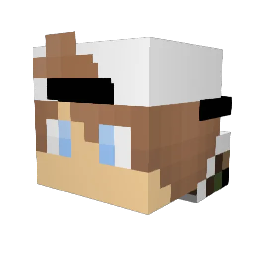 technodimond26 Minecraft avatar head, 3D render