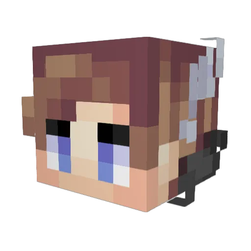 technokilleryt Minecraft avatar head, 3D render