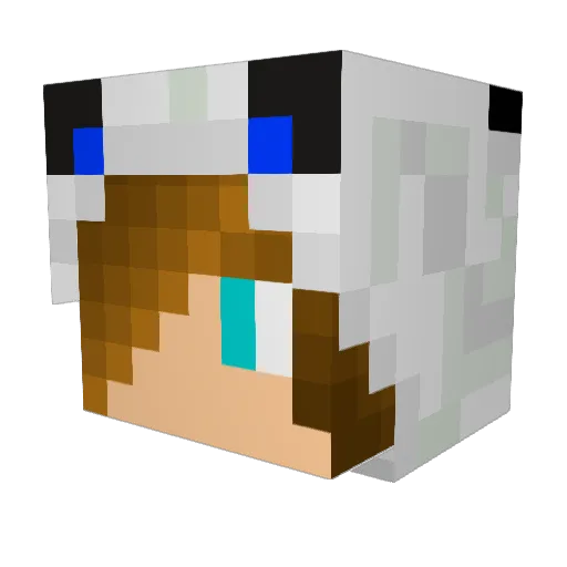 technomage234 Minecraft avatar head, 3D render