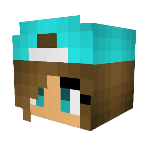 technostylegirl Minecraft avatar head, 3D render