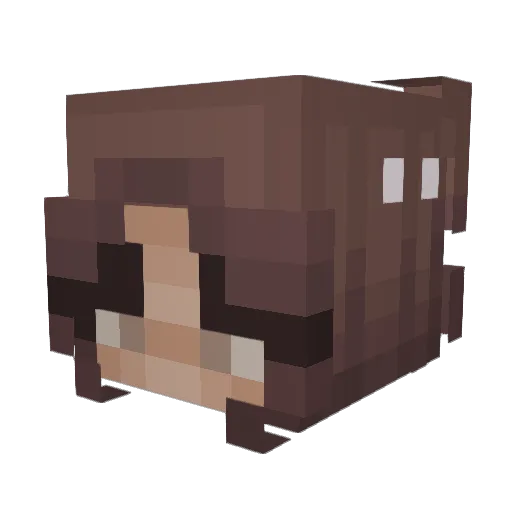 techoegg Minecraft avatar head, 3D render