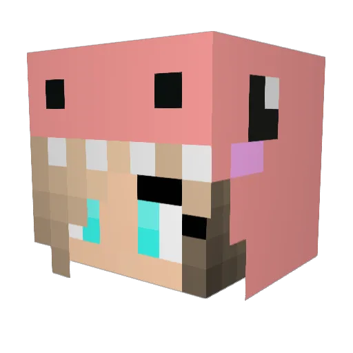 ted71738 Minecraft avatar head, 3D render