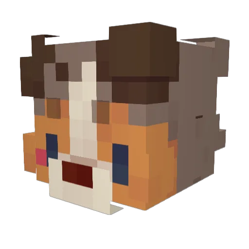teddegg_ Minecraft avatar head, 3D render