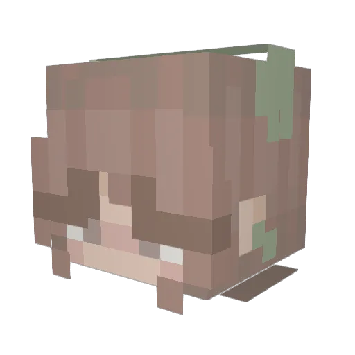 teddiebeard Minecraft avatar head, 3D render