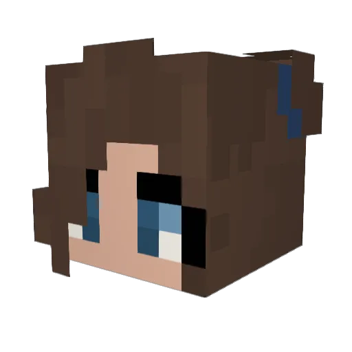 teddycobbler5566 Minecraft avatar head, 3D render