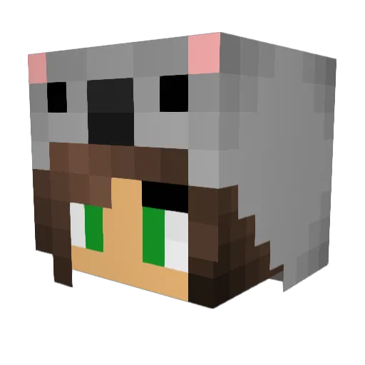 teddypanda2000 Minecraft avatar head, 3D render