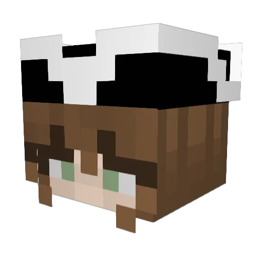 teddyshido Minecraft avatar head, 3D render