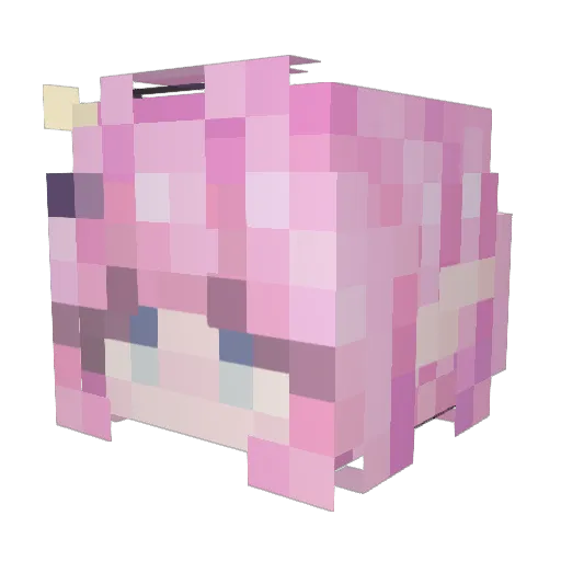 tedenjoyer Minecraft avatar head, 3D render