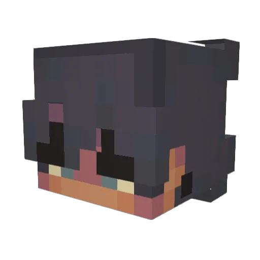 tedyreptar Minecraft avatar head, 3D render