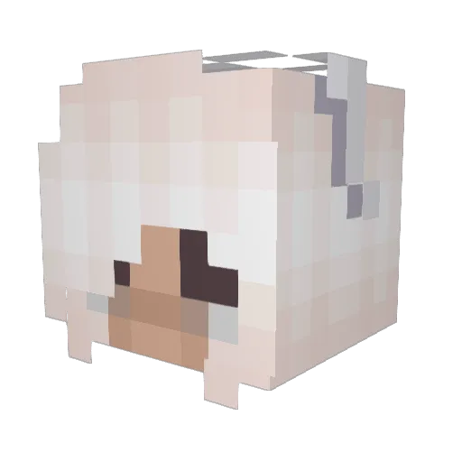 teeble Minecraft avatar head, 3D render