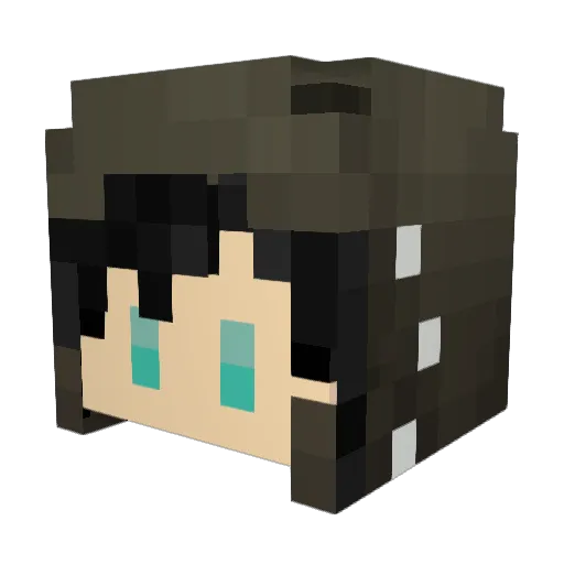 teeenel Minecraft avatar head, 3D render
