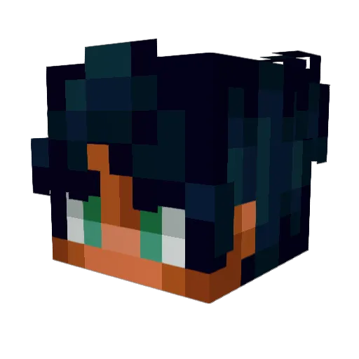 teegan_ Minecraft avatar head, 3D render